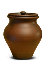 Owl Image