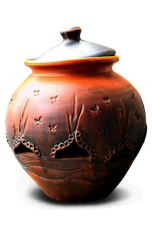 Owl Image