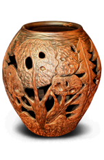Owl Image