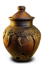 Owl Image