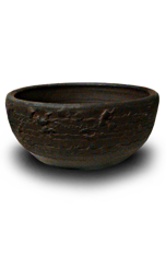 Owl Image