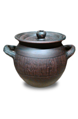 Owl Image