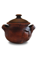 Owl Image