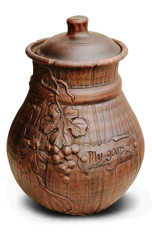 Owl Image