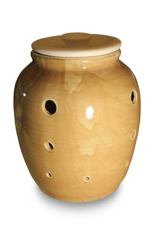 Owl Image